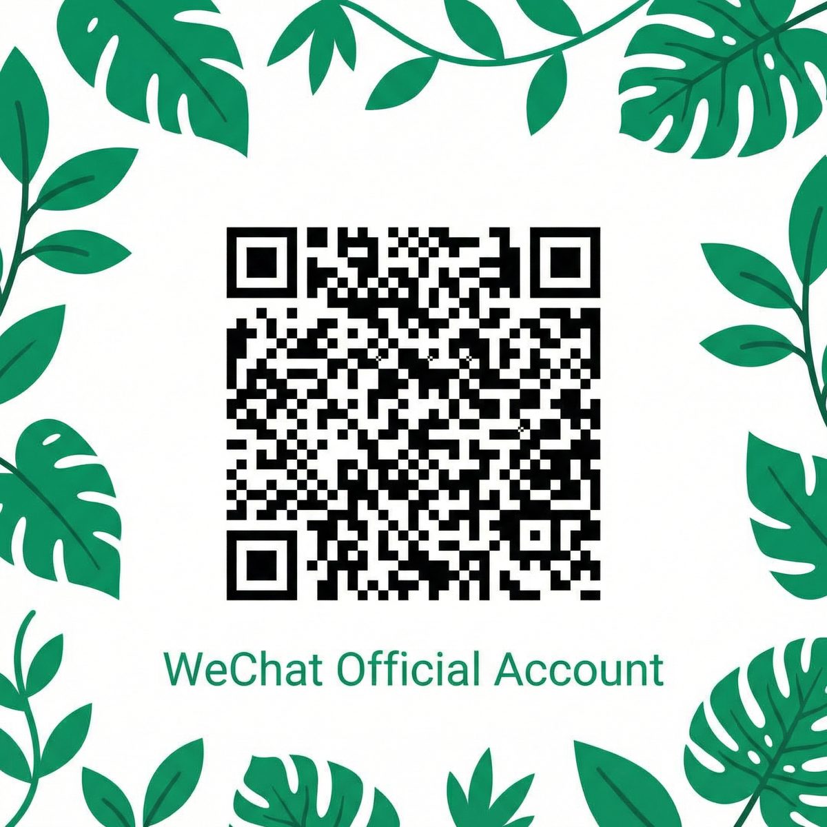 四虎视频公众号